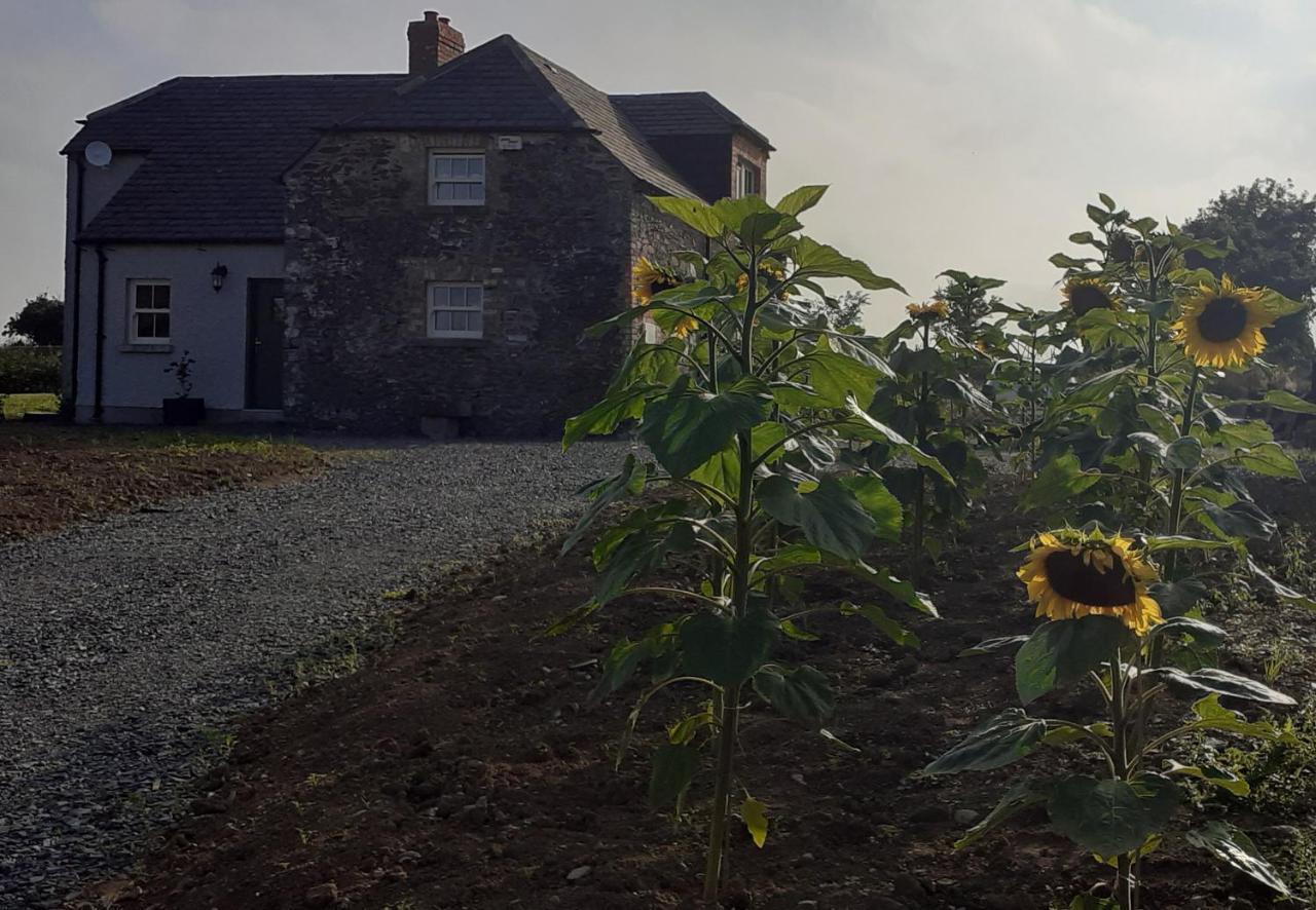The Shepherd'S Lodge Tullyallen Exterior foto